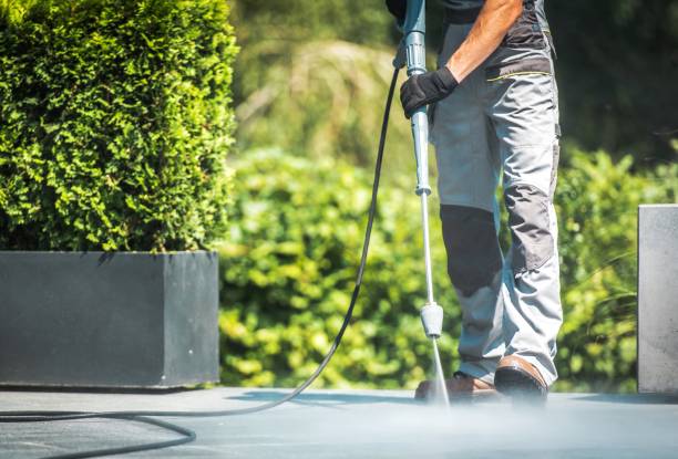 Best House Exterior Washing  in Reed Creek, GA