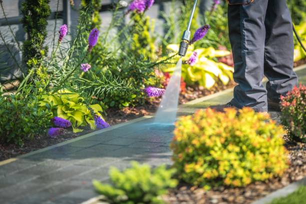 Trusted Reed Creek, GA  Pressure Washing Services Experts