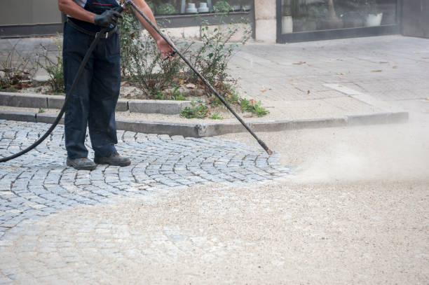 Best Driveway Pressure Washing  in Reed Creek, GA